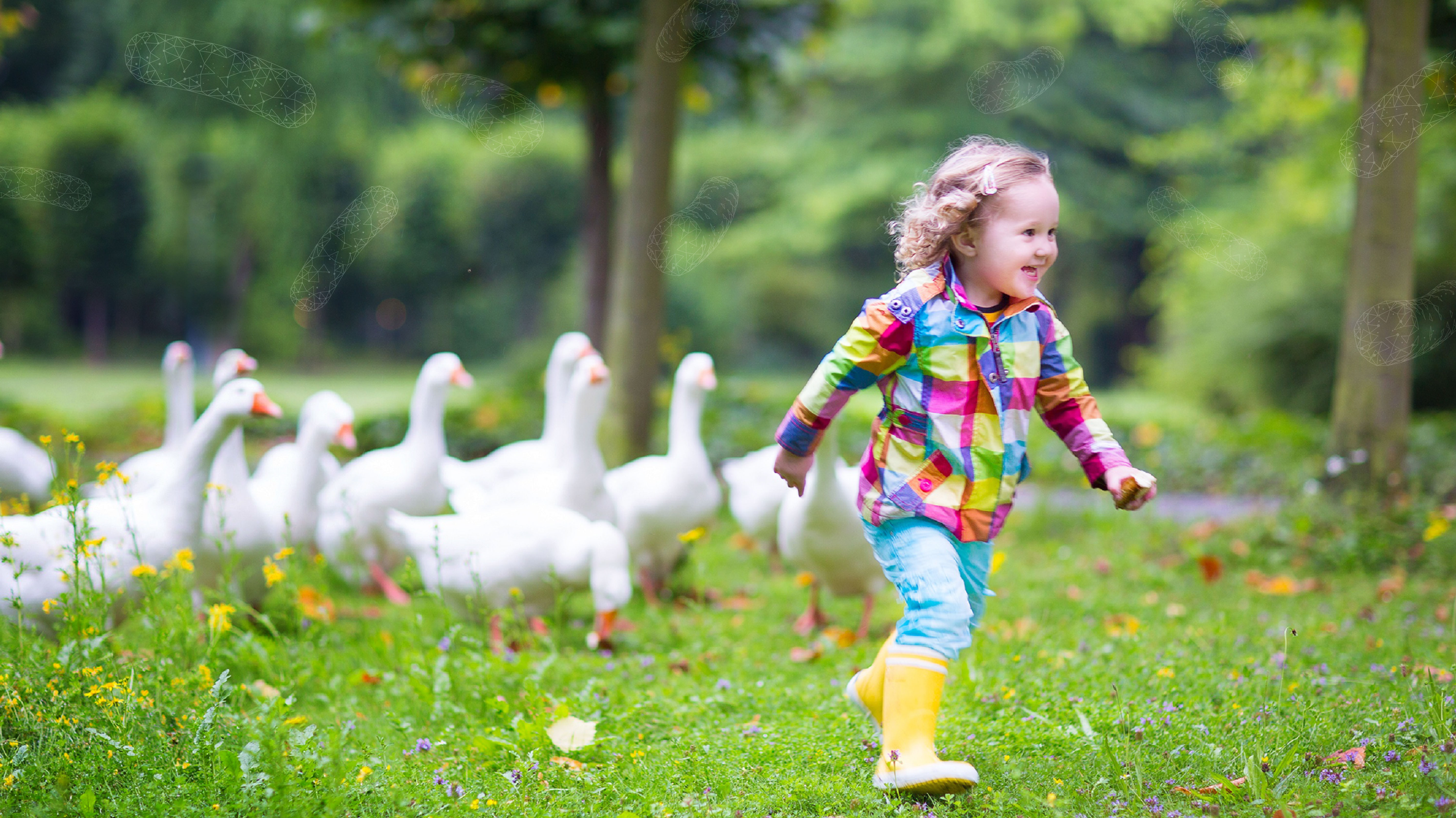 Providing A Good Life for Animals Providing A Good Life for Animals